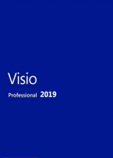 MS Visio Professional 2019 1 User