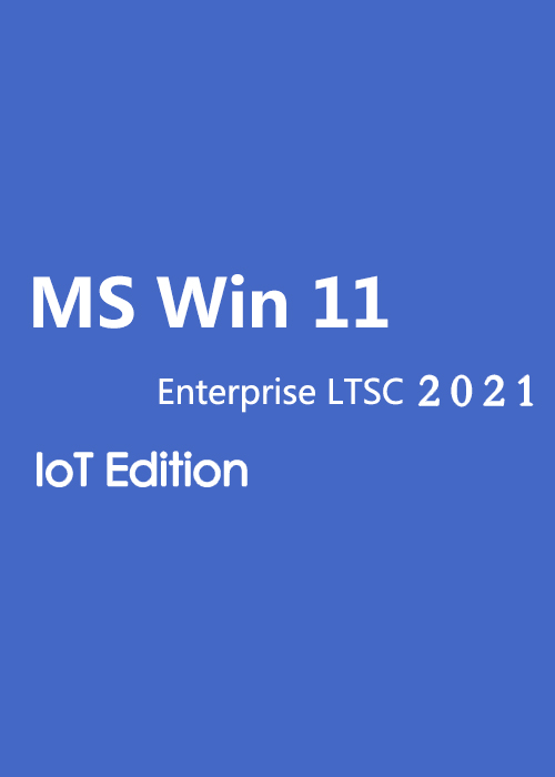 MS Win 11 Enterprise LTSC 2024 IoT Edition  CD  Key