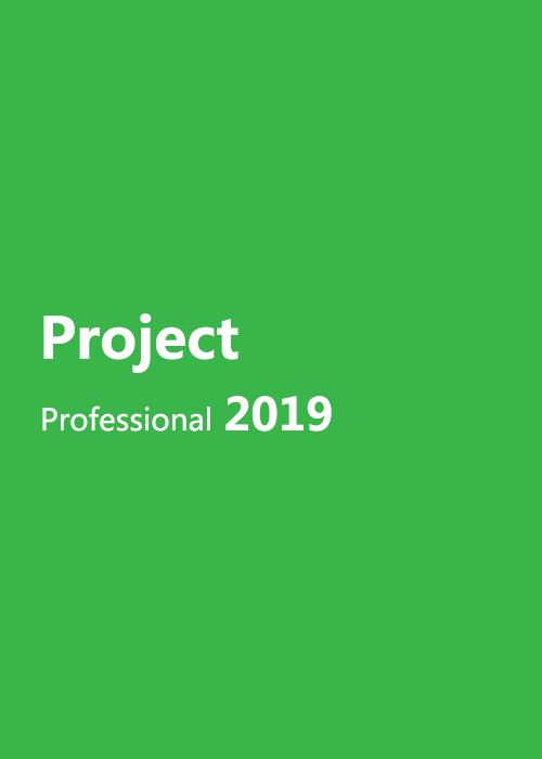 MS Project Professional 2019 1 User (Sale)