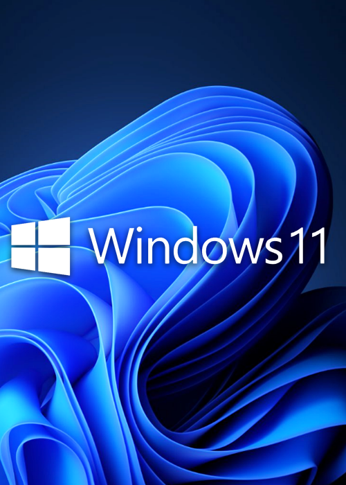 Buy Microsoft Windows 11 Pro OEM CD-KEY GLOBAL Buy Microsoft Windows 11 Pro OEM CD-KEY GLOBAL