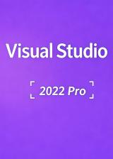 goodoffer24.com, MS Visual Studio 2022 Professional CD Key Global